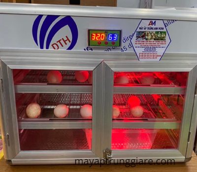 Nhiệt độ máy ấp trứng gà bao nhiêu là tốt nhất? 