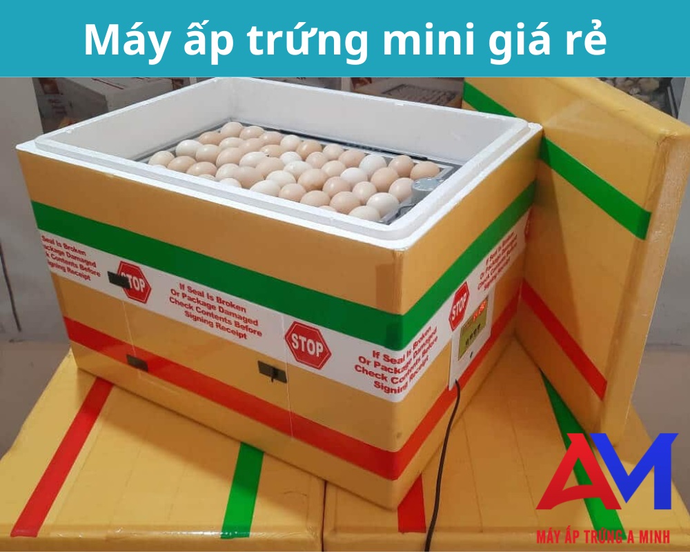 Mua máy ấp trứng mini giá rẻ tại cơ sở Anh Minh