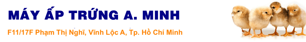 Máy Ấp Trứng Anh Minh | Tỷ Lệ Nở Trên 95% | Cung Cấp Máy Ấp Thùng Nhôm - Xốp - Gỗ Toàn Quốc	